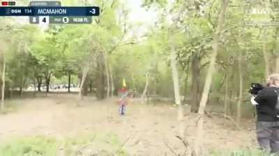Disc Golf