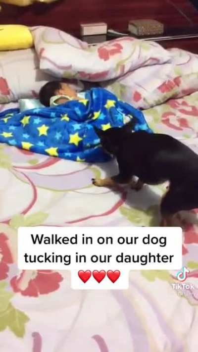 Baby's best friend