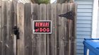 Dangerous guard dog.