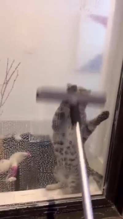 And the winner is "Spray Bottle"