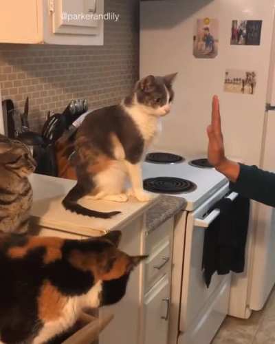 "Oh crap, we're having a test today?"