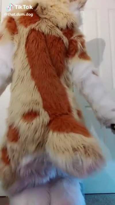 I don’t have anything against furries, but this just isn’t ok...