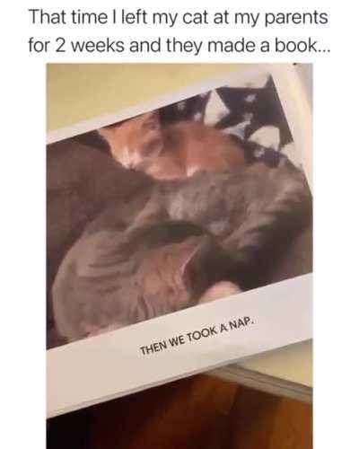Amazing grandparents ?