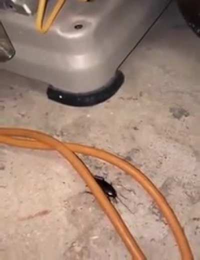 Hi little friend <3