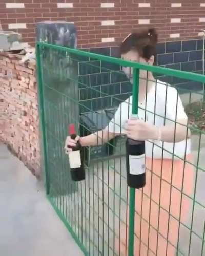 yesyesyesno