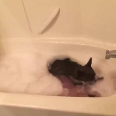 Mom got me a nice lush bath and clearly I loved it!