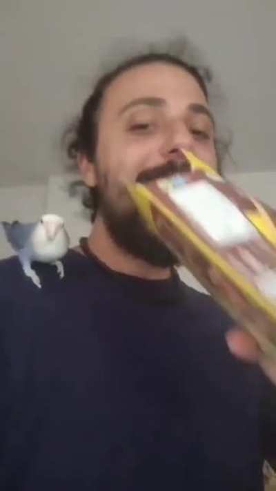 Copyparrot