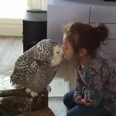 Sweet owl kissy face