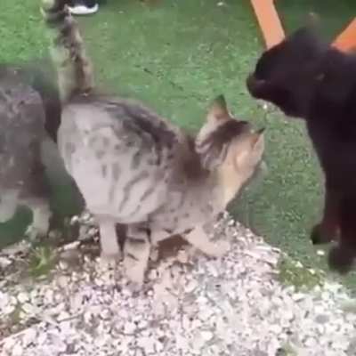 That was almost a catastrophe