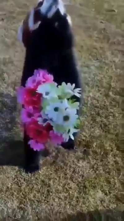 Comin to steal your heart