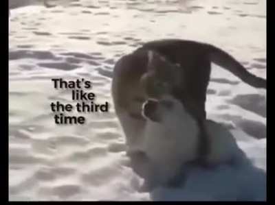 Is j0ke