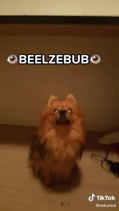 BELIAL