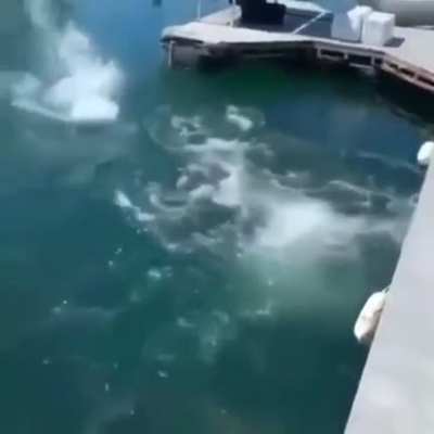 WCGW fishing without proper equipment.. and a brain