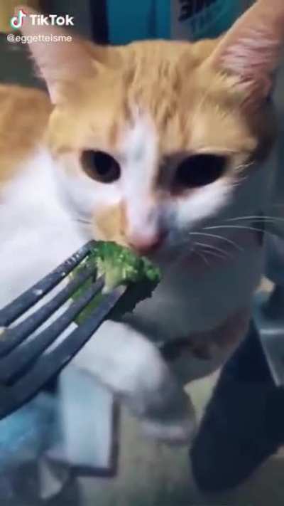Yummy broccoli