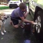Just cute