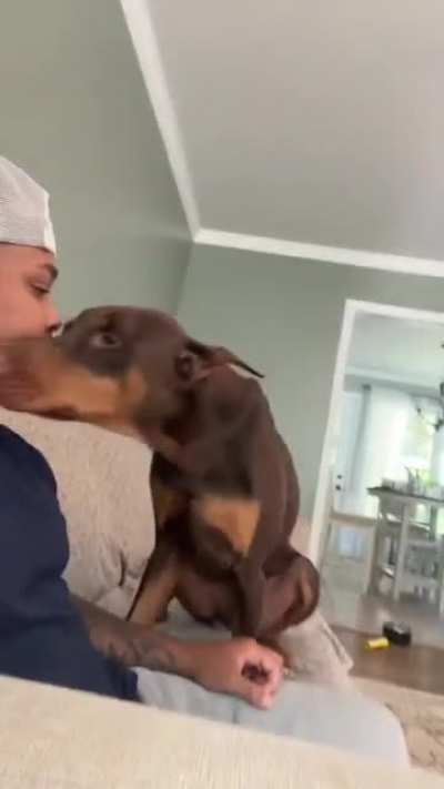 Kiss your dog and then see there reaction