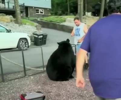 Man tells a bear he’s not invited and has to leave…
