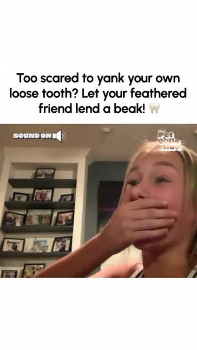 This still looks more fun than going to the dentist! ??CT@Ann B