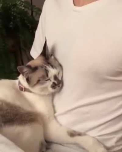 Cuddling with his human