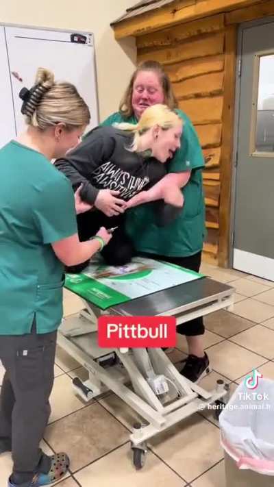 The Vet