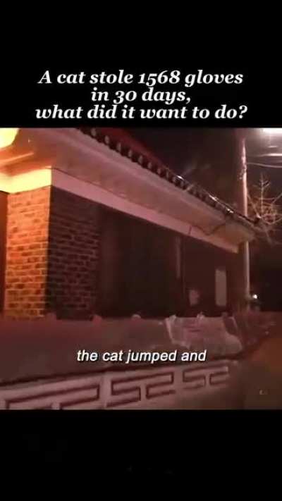 Small heist for little gesture