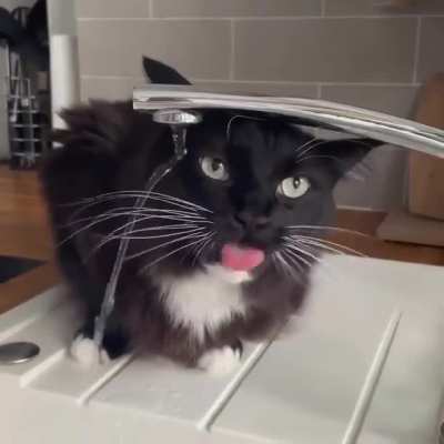 To keep hydrated ?
