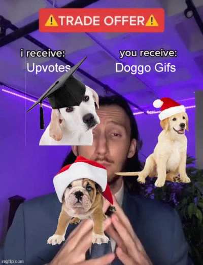 Bouncing Doggos