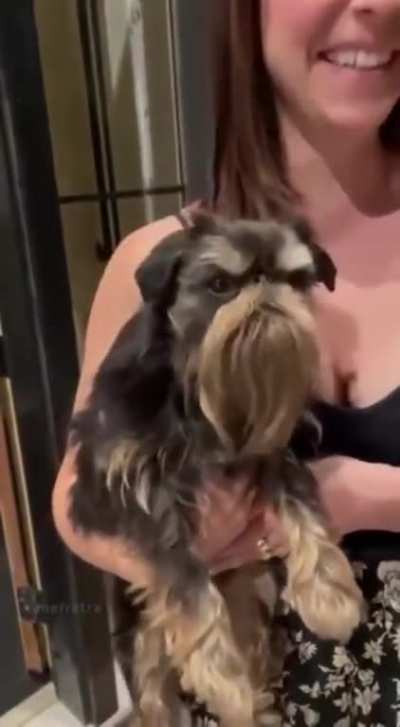 Grumpy old man