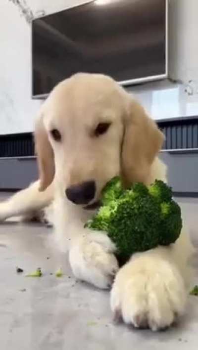 Enjoy your dinner?