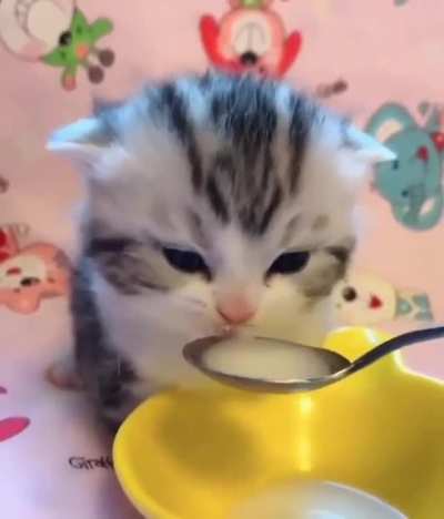 I wish I can squeeze them