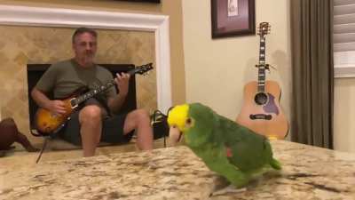 The way that the bird mimics the vocals.