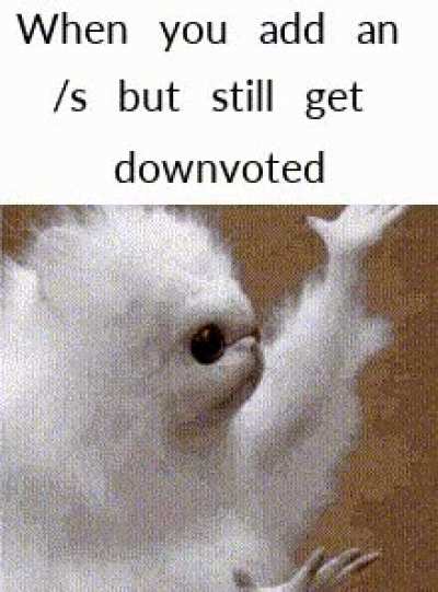 This meme is funny /s