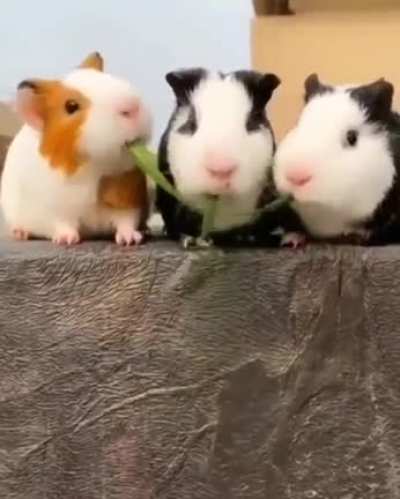 Maybe maybe maybe