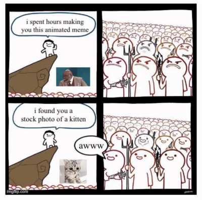 i hope you like your kitten