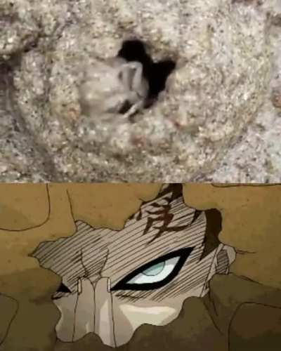 Sand Burial
