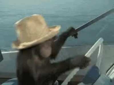 All ?✋ after the $GME squeeze. HOLD! APES STRONG TOGETHER!! ???