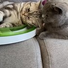 These two? happy Saturday