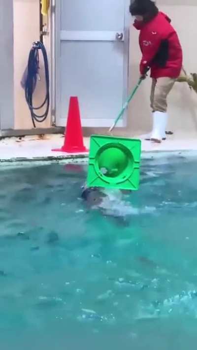 I think he is worthy of the "Employee of the Year" award.