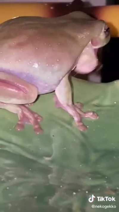 ?