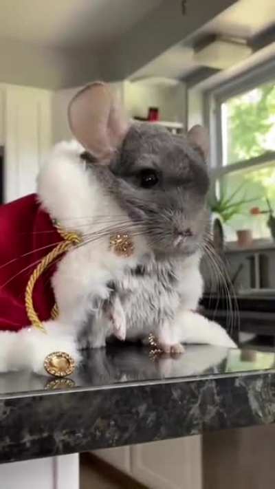 Long live king Linus ?