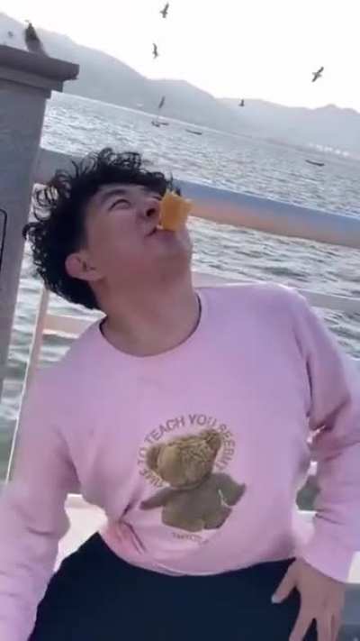 Trying to kiss a seagull.