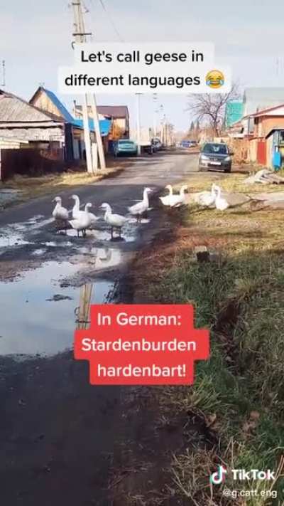 German always works!