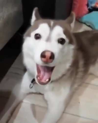 NOOOOOOOOO!!!!