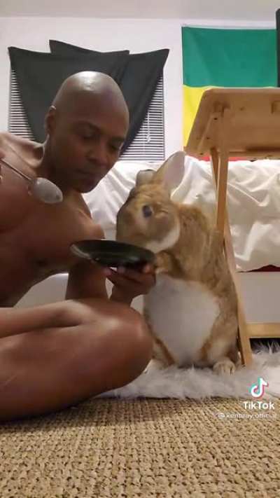 Sharing with your Flemish Giant rabbit