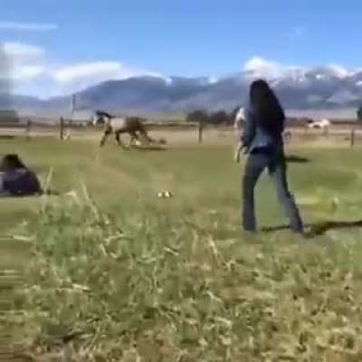 HMC While ride my Unicorn &amp; Pop Champagne