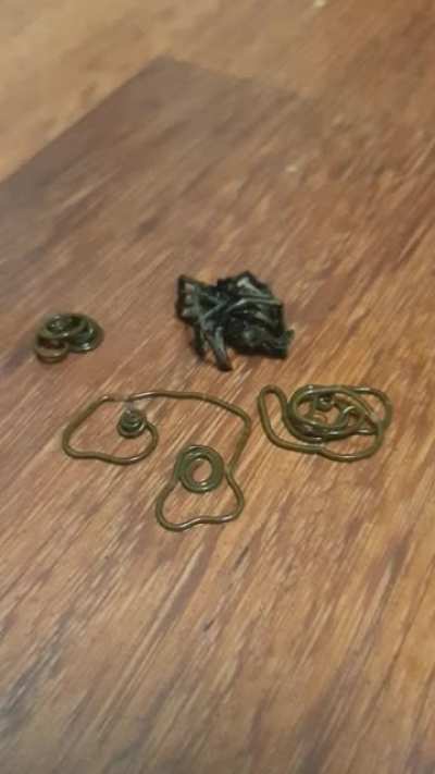 Killed One Spider, Left for 5 Minutes And Came Back To This...