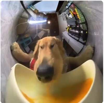 Hehehe glupglupglup