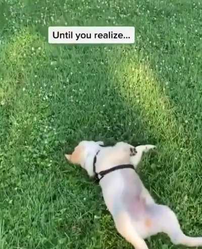 Aww cute oh wait