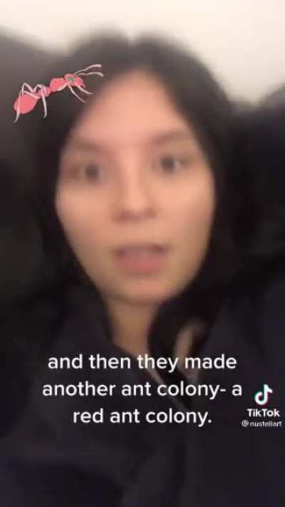 Ants
