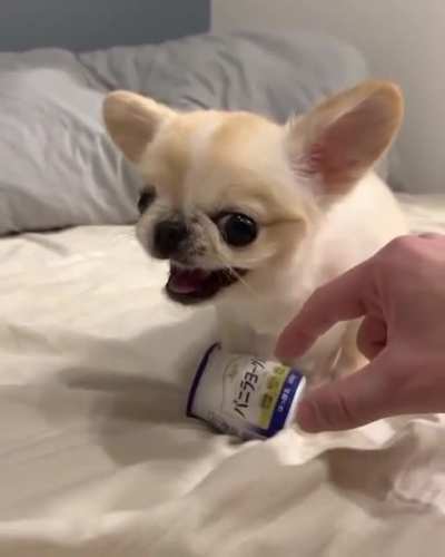 My yoghurt!